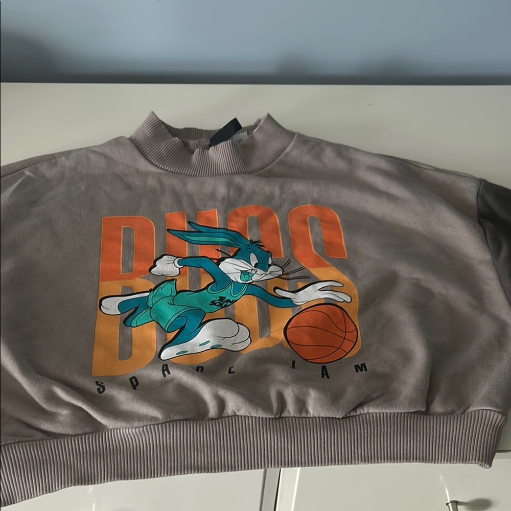 H&M Gray and Orange Crew Neck Sweater with Bugs Bunny Graphic Cropped